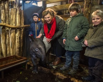 _ Mládě tapíra čabrakového v ZOO Praha při křtinách